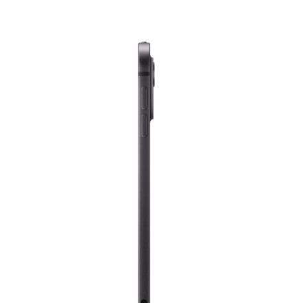 Планшет Apple iPad Pro 13" 2Tb (2024) Wi-Fi нанотекстурное стекло «черный космос»