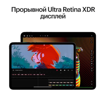 Планшет Apple iPad Pro 11" 2Tb (2024) Wi-Fi + Cellular нанотекстурное стекло «черный космос»